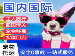 张掖甘州航空物流国际宠物托运 【国